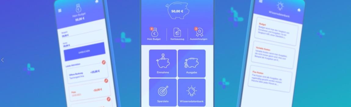 DSV Screens Budget+plus